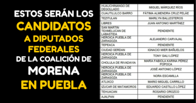 “Morena Revela sus Fichas para las Diputaciones Federales en Puebla”